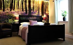 The Dove Inn